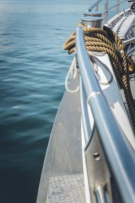 Seascape.Boats Premium Domain